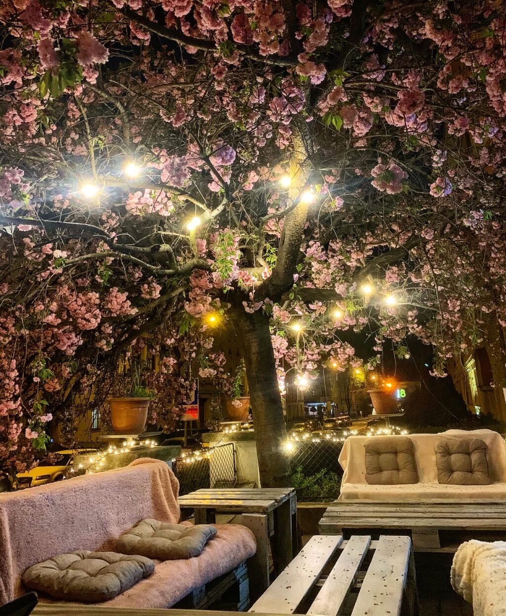 Instagram post from prova_bistroitalia. This post is in position 3.