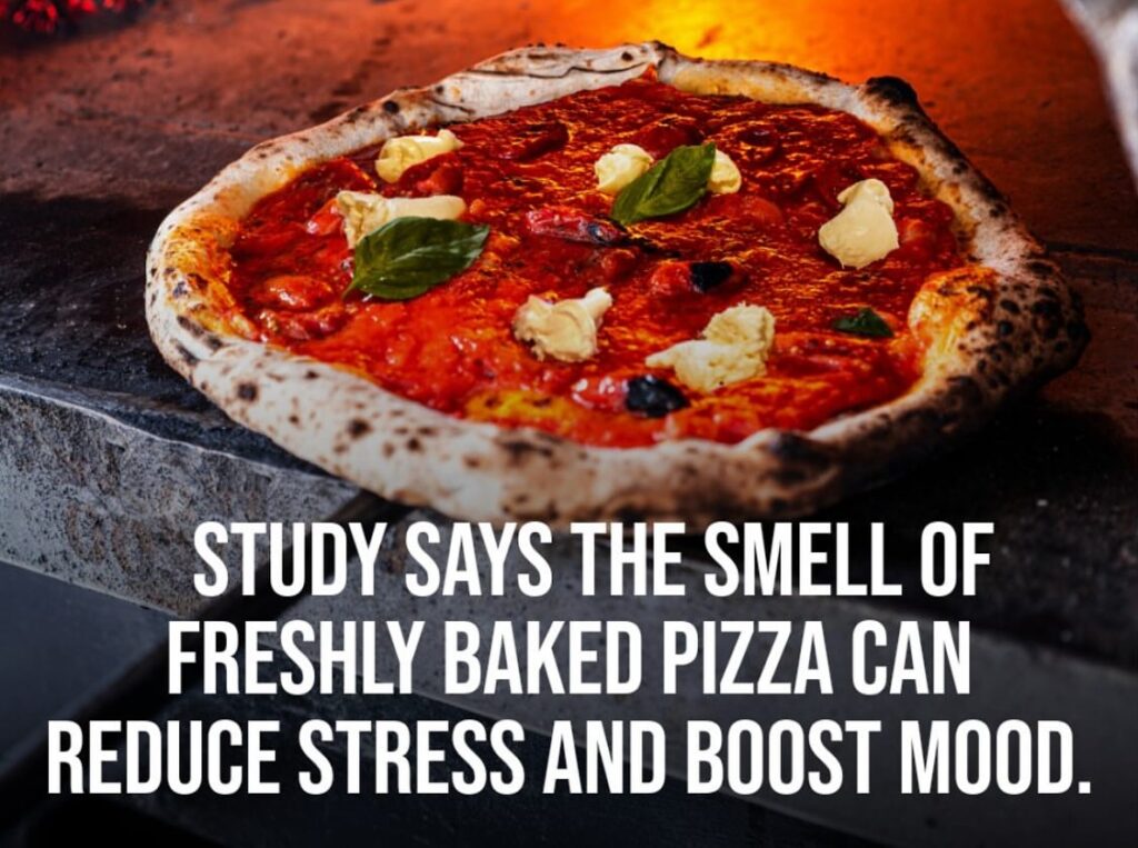 Instagram post from prova_bistroitalia. This post is in position 7.